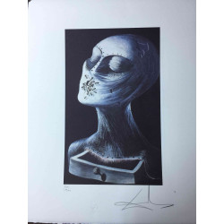 Litografická súprava Salvador Dali certifikovaná 50x65 cm
