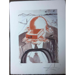 Salvador Dali Lithografie off set 50x65 cm gecertificeerd