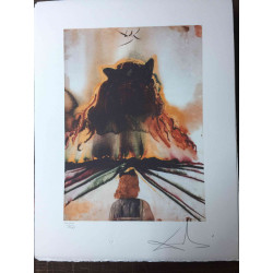 Salvador Dali Off set lithograph cm 50x65 certified