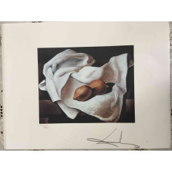 Conjunt de litografia de Salvador Dalí 50x65 cm certificat