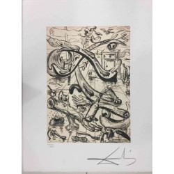 Litografia Salvador Dali off set 50x65 cm certificada