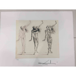 Litografická sada Salvador Dali s certifikací 50x65 cm