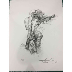 Salvador Dali Lithographie Offset 50x65 cm zertifiziert