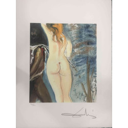 Litografická sada Salvador Dali s certifikací 50x65 cm