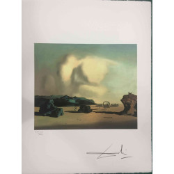 Salvador Dali Litografia off set cm 50x65   certificata