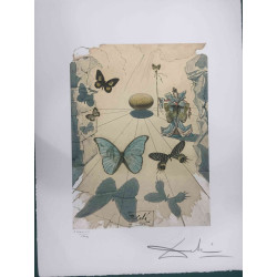 Salvador Dali Litografia off set cm 50x65   certificata