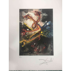 Salvador Dali Lithographie Offset 50x65 cm zertifiziert