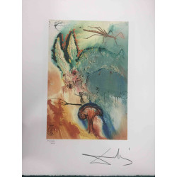 Offset litograficzny Salvadora Dali z certyfikatem 50x65 cm