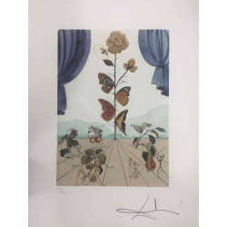 Salvador Dali Litografia off set cm 50x65   certificata