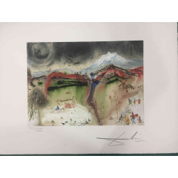 Litografía Salvador Dali off set 50x65 cm certificada