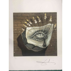 Litografia Salvador Dali off set 50x65 cm certificada