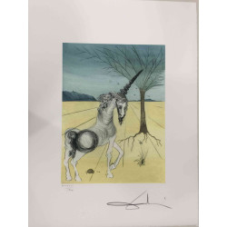 Salvador Dali Lithografie off set 50x65 cm gecertificeerd