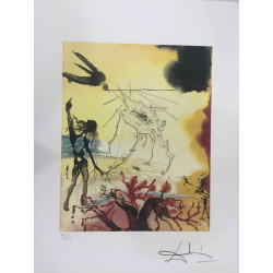 Salvador Dali 50x65 cm-ko litografia-sorta ziurtatua