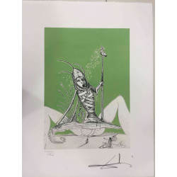 Salvador Dali 50x65 cm-ko litografia-sorta ziurtatua