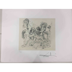 Litografická súprava Salvador Dali certifikovaná 50x65 cm