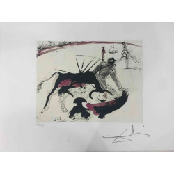 Litografická súprava Salvador Dali certifikovaná 50x65 cm