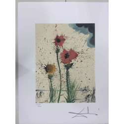 Salvador Dali Litografia off set cm 50x65   certificata