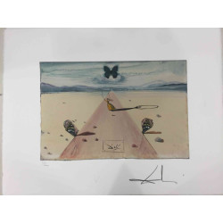 Salvador Dali Lithographie Offset 50x65 cm zertifiziert