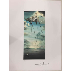 Litografia Salvador Dali off set 50x65 cm certificada