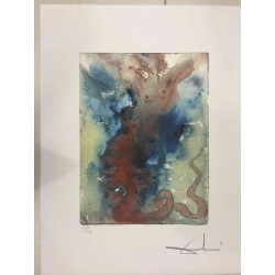 Salvador Dali Lithographie hors set 50x65 cm certifiée