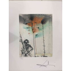 Salvador Dali Lithografie off set 50x65 cm gecertificeerd