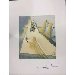 Salvador Dali Lithografie off set 50x65 cm gecertificeerd
