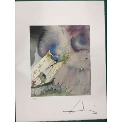 Salvador Dali Off set lithograph cm 50x65 certified