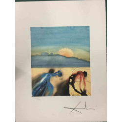 Litografická sada Salvador Dali s certifikací 50x65 cm