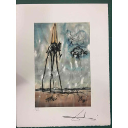 Salvador Dali Lithographie Offset 50x65 cm zertifiziert