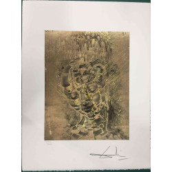 Litografía Salvador Dali off set 50x65 cm certificada