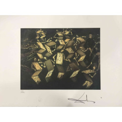 Salvador Dali Off set lithograph cm 50x65 certified