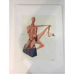 Salvador Dali Lithographie Offset 50x70 cm zertifiziert