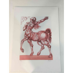 Salvador Dali Lithografie off set 50x70 cm gecertificeerd