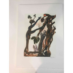 Salvador Dali Lithographie Offset 50x70 cm zertifiziert