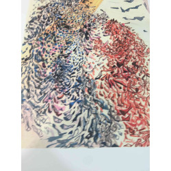 Salvador Dali Lithografie off set 50x70 cm gecertificeerd