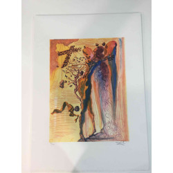 Salvador Dali Lithografie off set 50x70 cm gecertificeerd