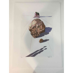 Salvador Dali Lithografie off set 50x70 cm gecertificeerd