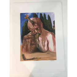 Salvador Dali Lithografie off set 50x70 cm gecertificeerd