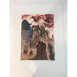 Salvador Dali Lithographie Offset 50x70 cm zertifiziert