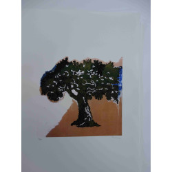 Mario Schifano Off set lithograph cm 50x70 certified