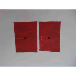 Mario Schifano Off set lithograph cm 50x70 certified