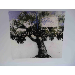 Mario Schifano Off set lithograph cm 50x70 certified