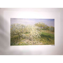 Claude Monet litho off set 50x70 cm