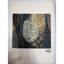Frantisek Kupka Lithografie off set 50x70 cm gecertificeerd