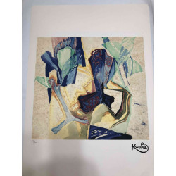 Frantisek Kupka Lithografie off set 50x70 cm gecertificeerd