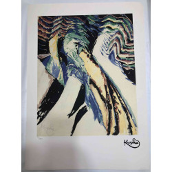 Frantisek Kupka Lithografie off set 50x70 cm gecertificeerd