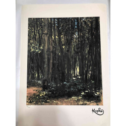 Frantisek Kupka Lithografie off set 50x70 cm gecertificeerd