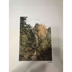 Set de litografías de Claude Monet 50x70 cm
