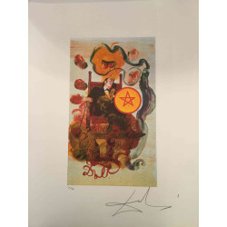Salvador Dali Tarot serie Lithografie off set 50x70 cm gecertificeerd