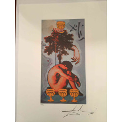 Salvador Dali Tarot serie Lithografie off set 50x70 cm gecertificeerd